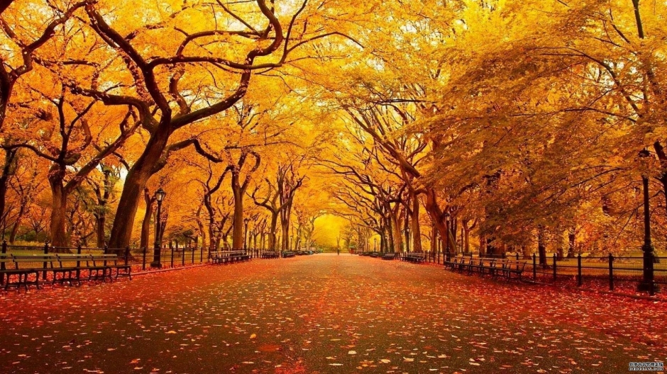 秋天唯美风景图片大全